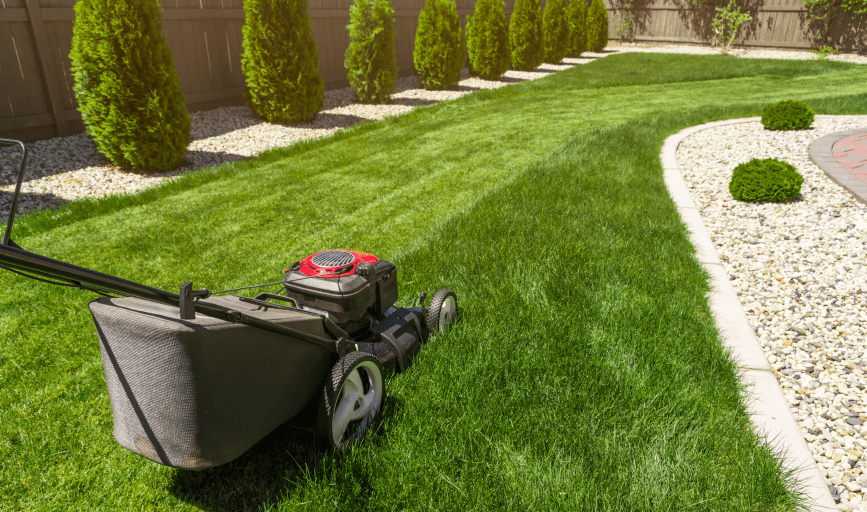 LAWN MOWING